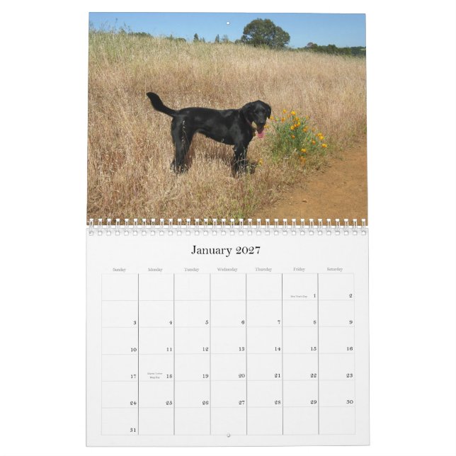 Lycklig kalender 2013 för hundLabrador Retriever (Jan 2027)
