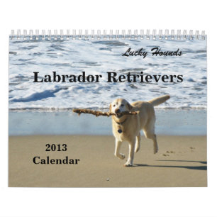 Lycklig kalender 2013 för hundLabrador Retriever