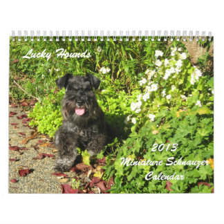 Lycklig kalender 2013 för hundminiatyrSchnauzer