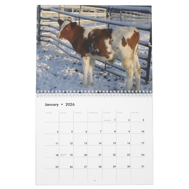 Lycklig kalender för ko för ko~ 2013 (Jan 2026)
