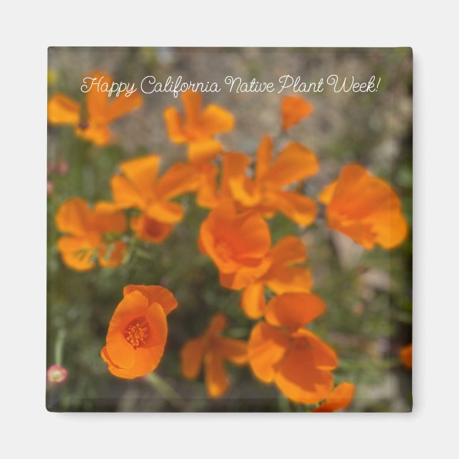Lycklig Kalifornien Native Plant Week! Magnet (Framsidan)