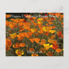 Lycklig Kalifornien Poppy Week! Vykort