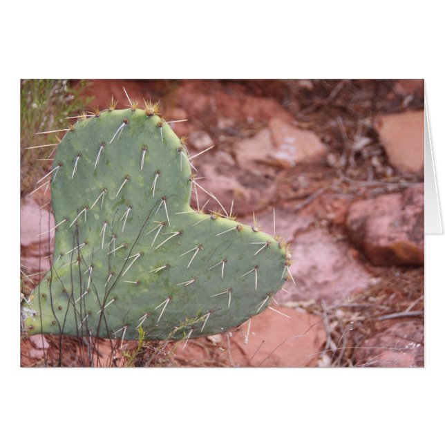 Lycklig Kärlek OBS Kort (Framsidan Horizontal)