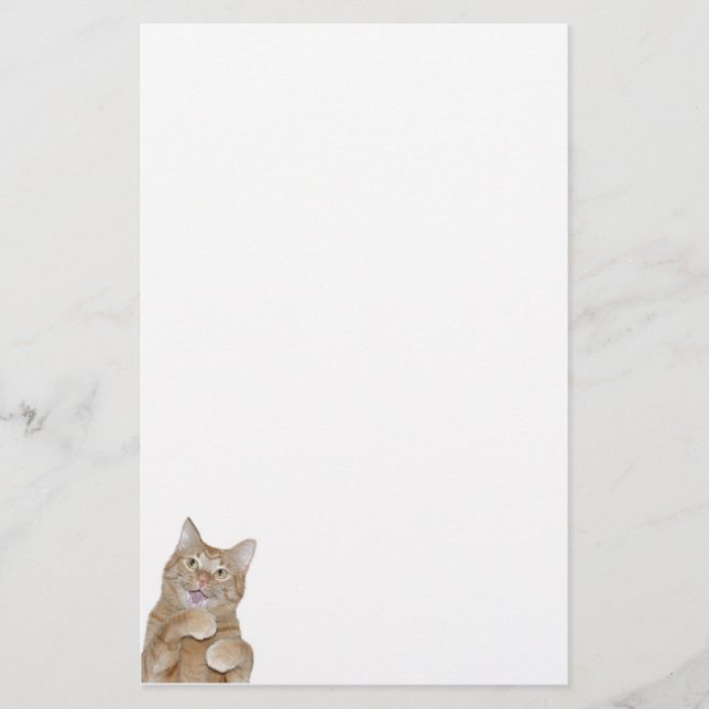 Lycklig katt brevpapper (Framsida)
