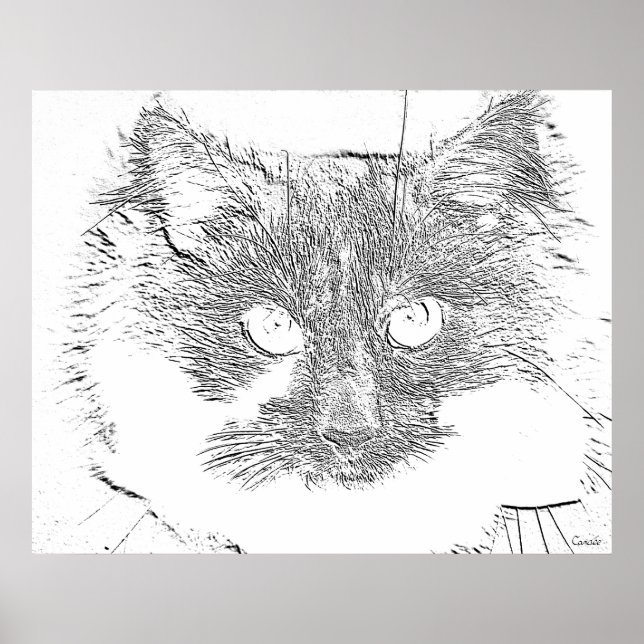 lycklig katt poster (Framsidan)
