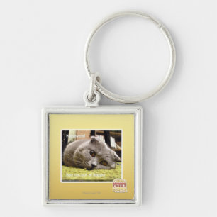 Lycklig katt, ut ur lycklig fyrkantig silverfärgad nyckelring