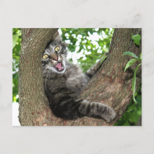 Lycklig-katten i träd vykort