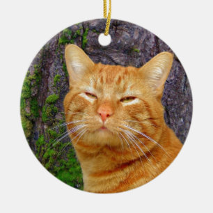 Lycklig kattunge Kat! Julgransprydnad Keramik