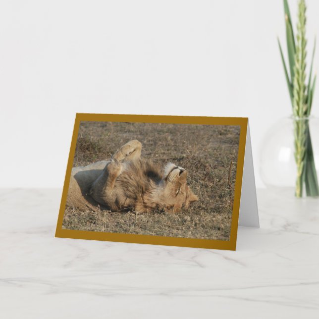 Lycklig Kattunge Kort (Framsida)