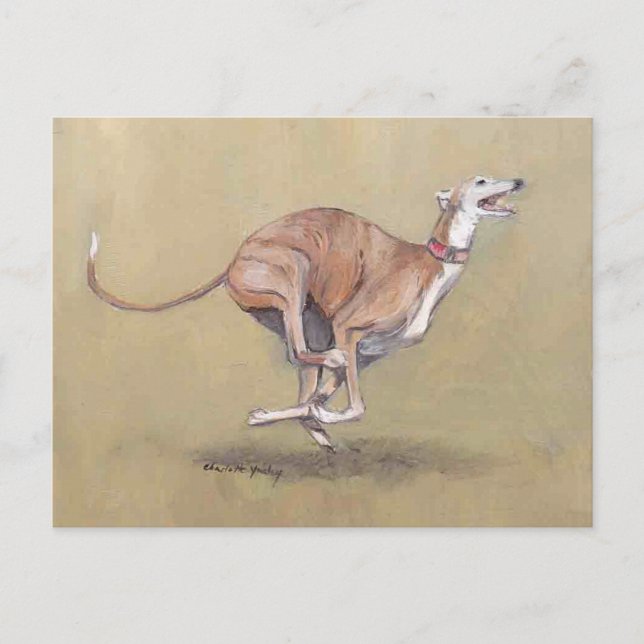 Lycklig kör Greyhound Hund Art-vykort Vykort (Framsida)