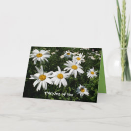 Lycklig-kort för daisy kort