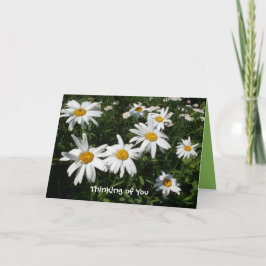 Lycklig-kort för daisy kort