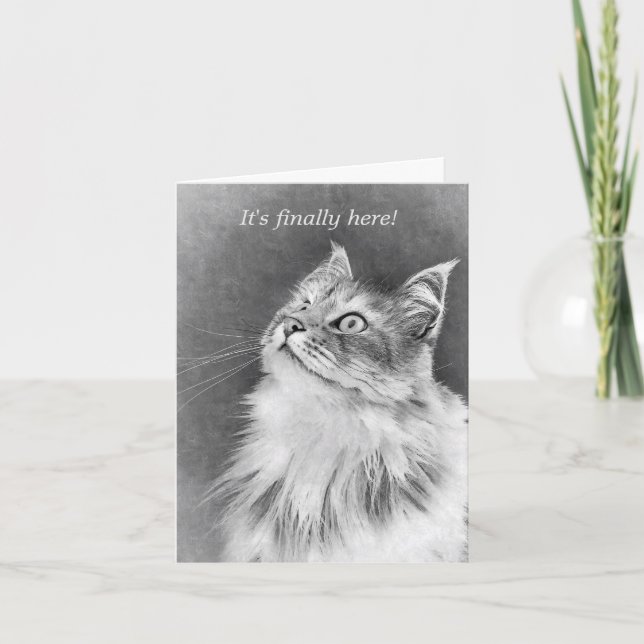 Lycklig kummel-dagen! kort (Framsida)