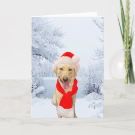 Lycklig Lab Santa White jul Helgkort