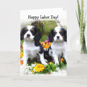 Lycklig Labourdag Kung Charles Spaniel-valpar Kort
