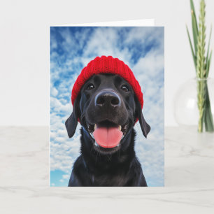 Lycklig Labrador i ett Röda Beanie under Blå himme Inbjudan