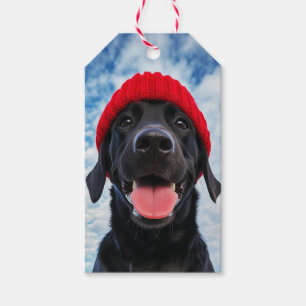 Lycklig Labrador i ett Röda Beanie under Blå himme Presentetikett
