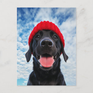 Lycklig Labrador i ett Röda Beanie under Blå himme Vykort