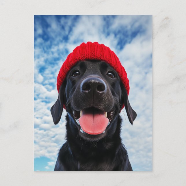 Lycklig Labrador i ett Röda Beanie under Blå himme Vykort (Framsida)