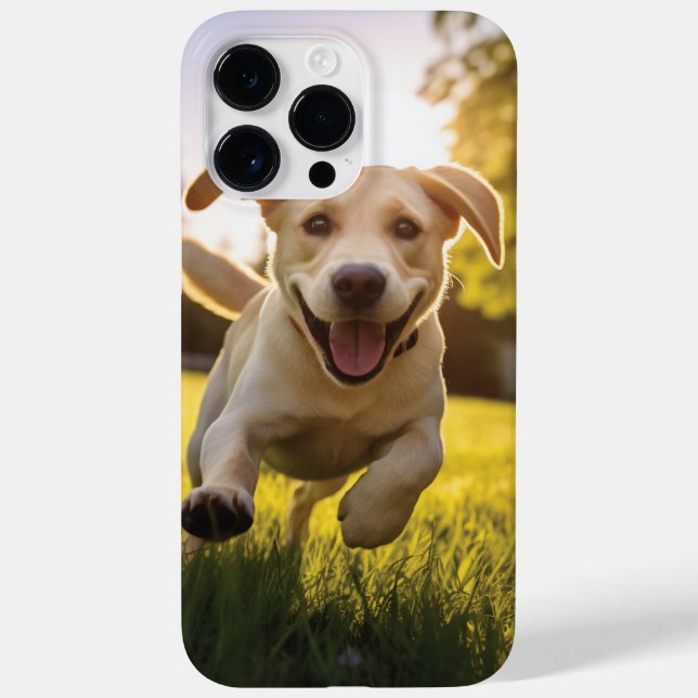Lycklig Labrador Puppy Running (Baksida)
