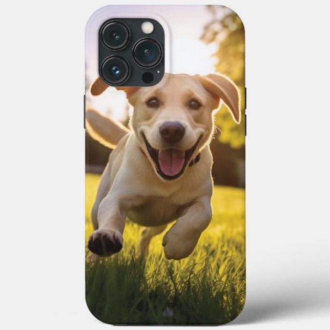 Lycklig Labrador Puppy Running (Baksida)