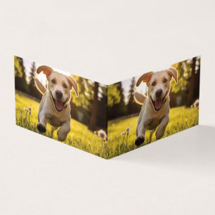 Lycklig Labrador Puppy Running Kort