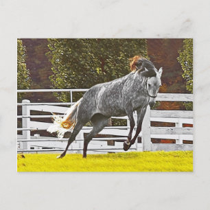 Lycklig Leaping Horse Vykort
