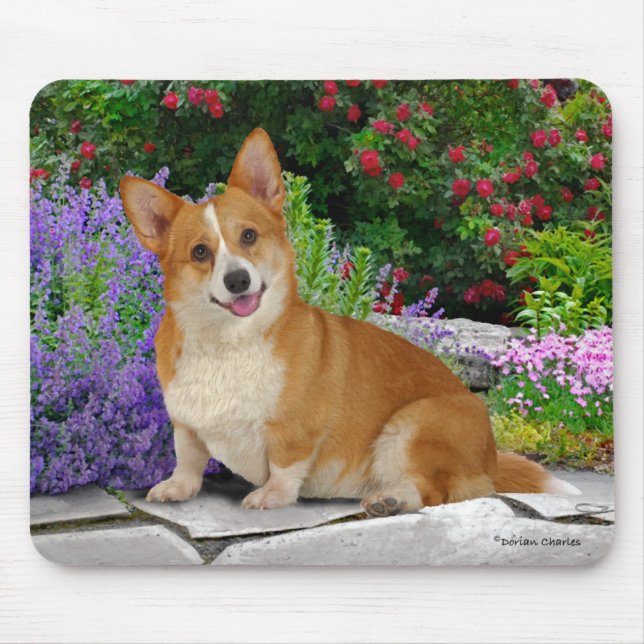 lycklig Little Corgi Musmatta (Framsidan)