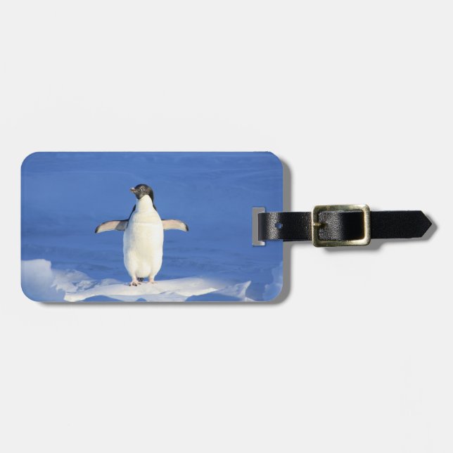 Lycklig Little Penguin Luggage Tag Bagagebricka (Horisontell Framsida)