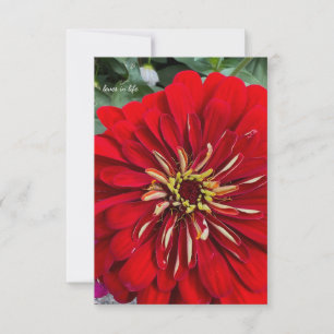 Lycklig Little Zinnia Anteckningskort