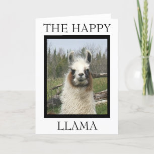 LYCKLIG LLAMA Hälsning Kort