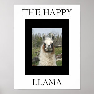 LYCKLIG LLAMA POSTER