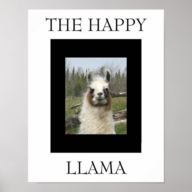 LYCKLIG LLAMA POSTER (Framsidan)