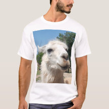 Lycklig Llama