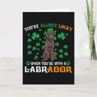 Lycklig Med En Choklad Labrador Hund St Patricks D