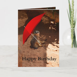 Lycklig Meerkat-hälsningskort för födelsedagshälsn Kort