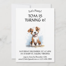 Lycklig minimalist Pitbull Pit Bull Terrier Hund