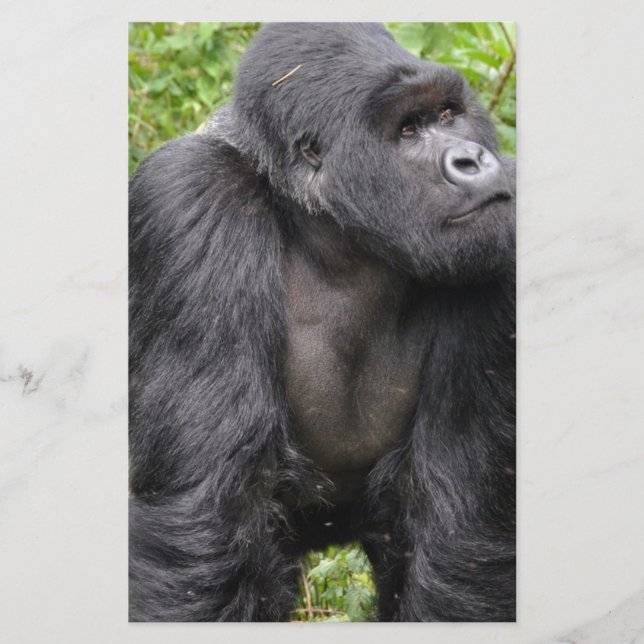 Lycklig Monkey Brevpapper (Framsida)