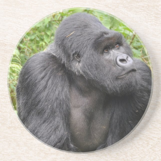 Lycklig Monkey Underlägg Sandsten (Framsidan)