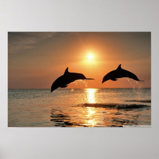 Lycklig Morgonvägg Poster