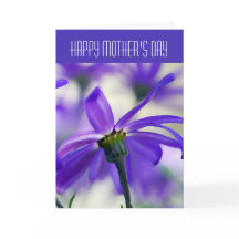 Lycklig Mors dag - Allmänt - Lila Cineraria