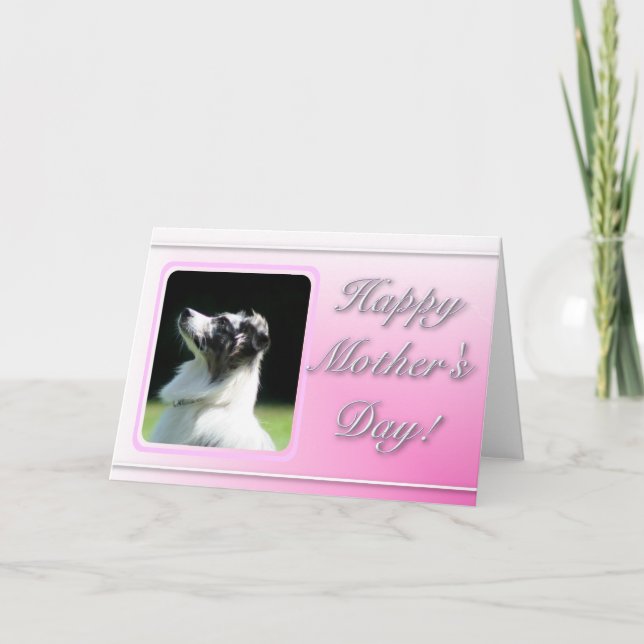 Lycklig Mors dag Australian shepherd-kort Kort (Framsida)