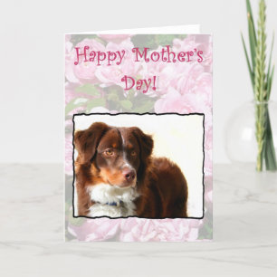 Lycklig Mors dag Australian shepherd-kort Kort