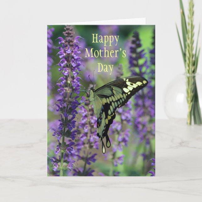 Lycklig Mors dag ~ Bella Butterfly Card Kort (Framsida)
