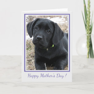 Lycklig Mors dag Black Labrador - Cute Puppy Hund Tack Kort