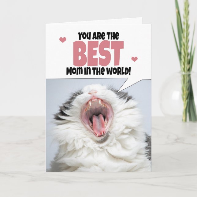 Lycklig Mors dag Cat Shouting Humor Helgkort (Framsida)