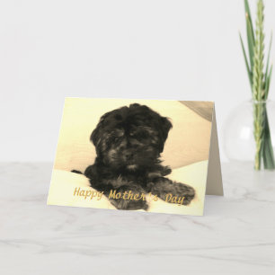 Lycklig Mors dag Cute Baby Hund Kort