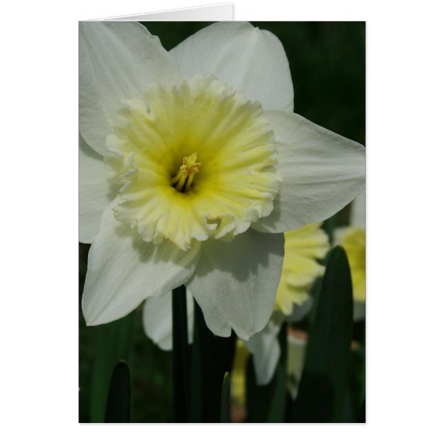 Lycklig Mors dag Flower Hälsningskort (Framsidan)