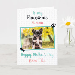 Lycklig Mors dag från Hund till Pawsome Mamma Kort