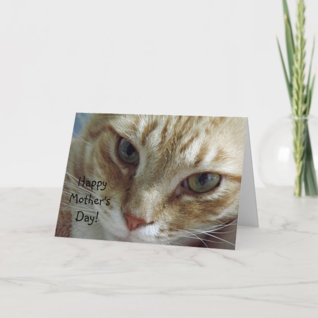 Lycklig mors dag från katt kort (Framsida)